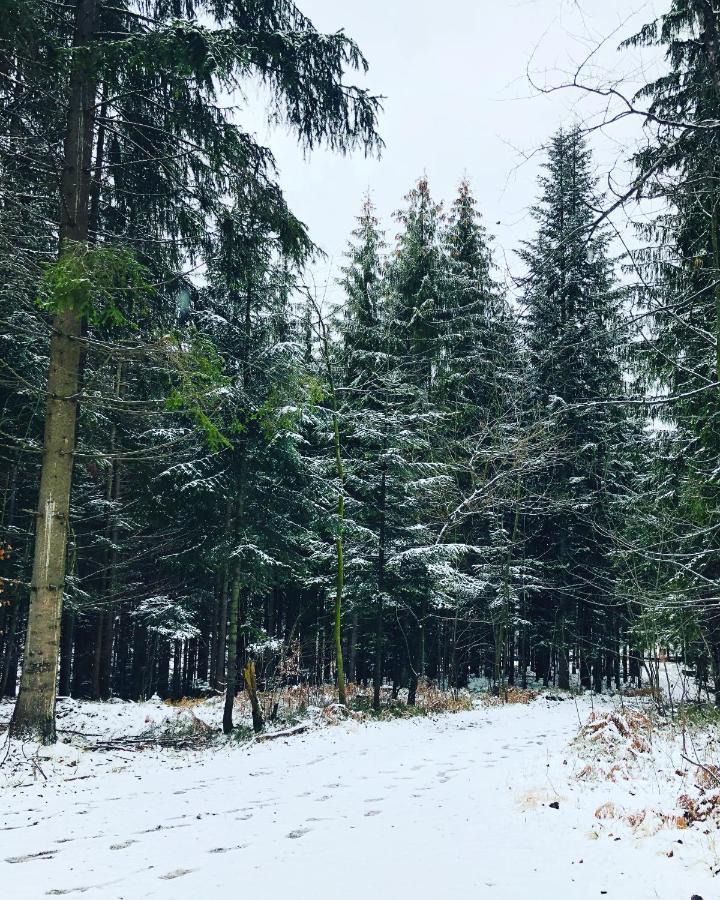Beskid Wood Houses Jasnowice Eksteriør bilde